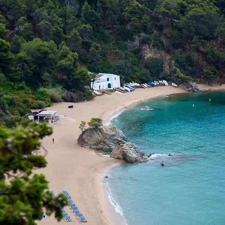 Casa Nyaraló *